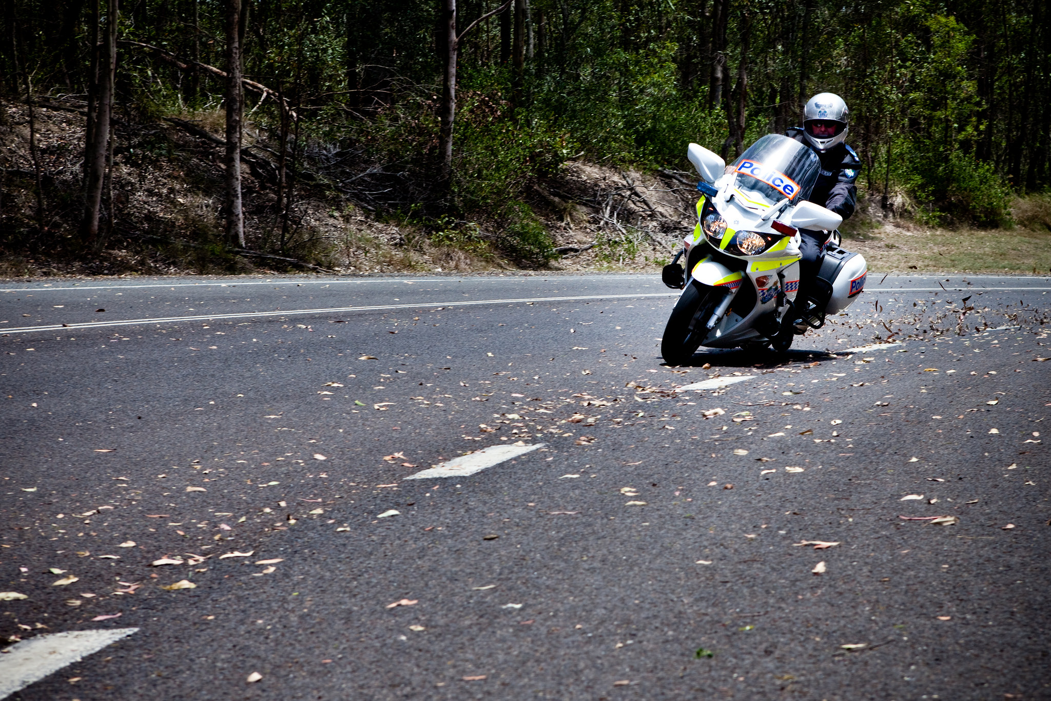 Demerit points, leniency and common questions QPS