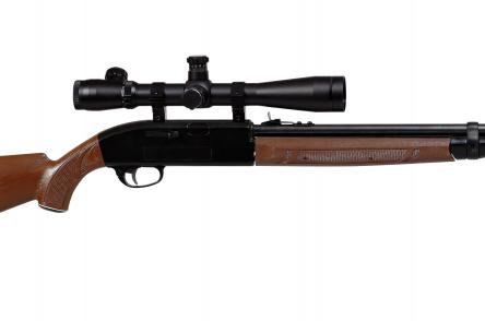 air rifle