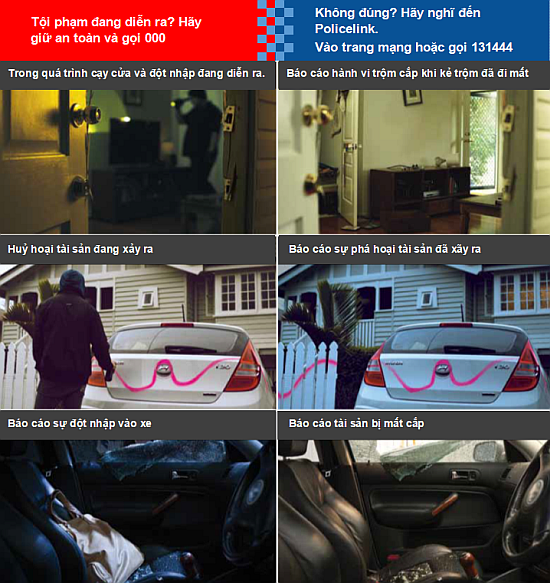 vietnamese policelink graphic